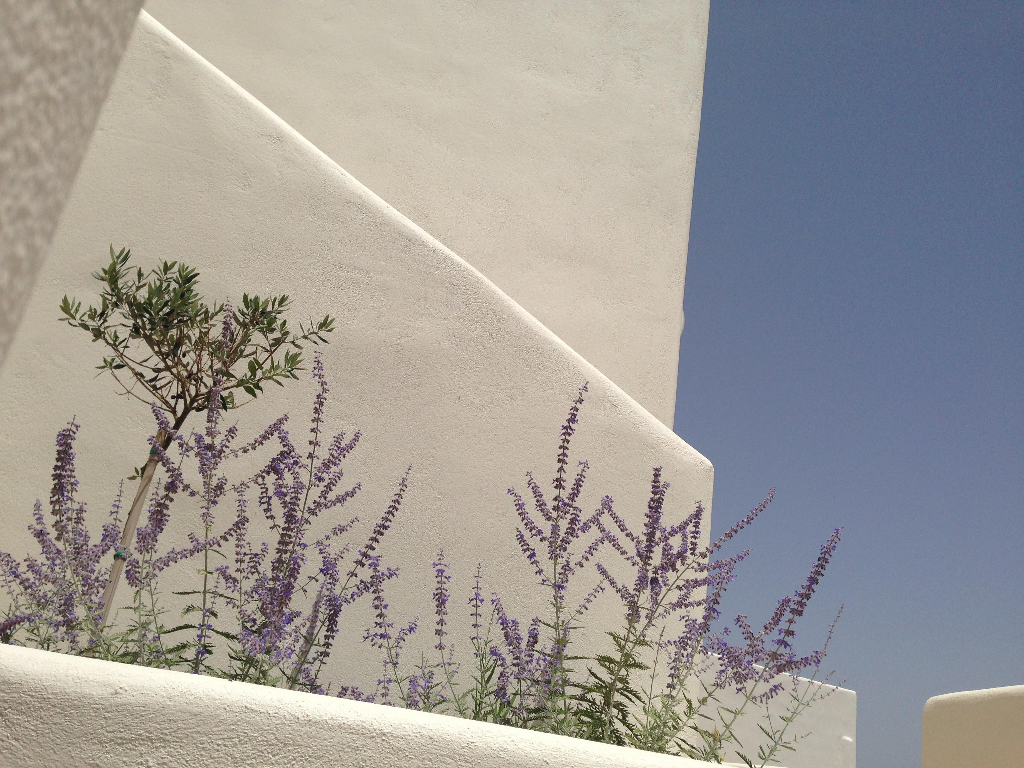 อาร์คีเพลากอส รีสอร์ต Hotel ปาริเกีย ภายนอก รูปภาพ